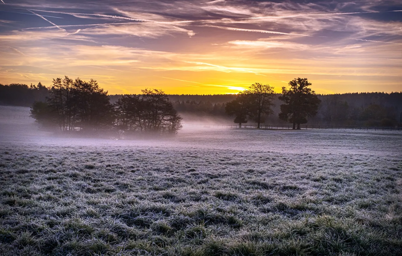 Photo wallpaper field, sunset, fog