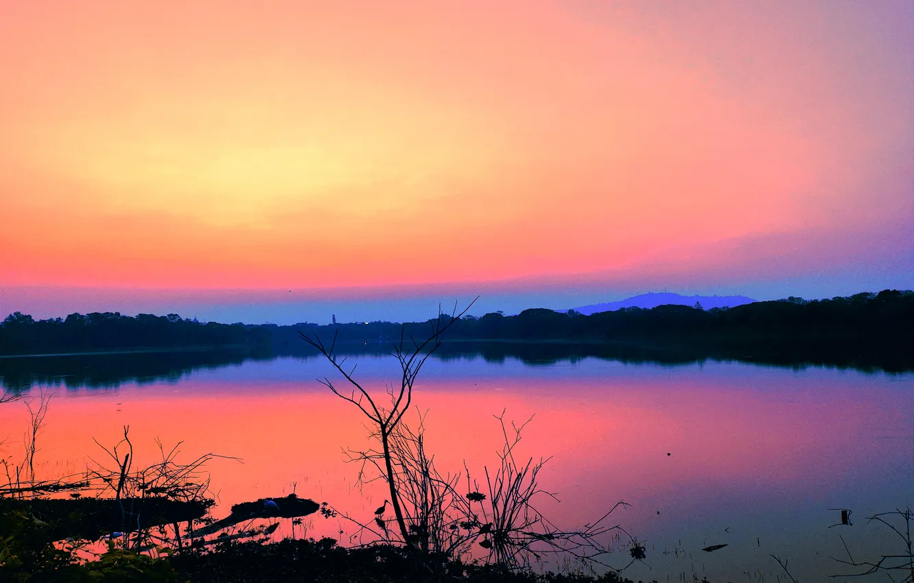 Photo wallpaper trees, water, lake, morning, sun, sunrise, dawn, woods