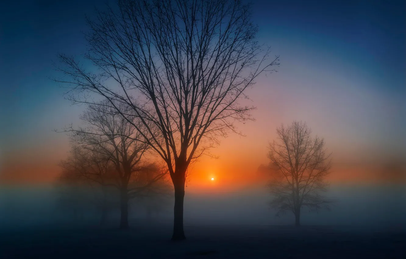 Photo wallpaper the sun, morning, Misty dawn