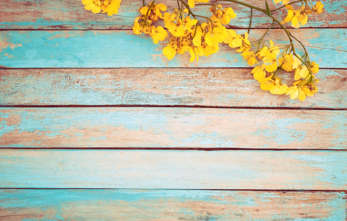 Photo wallpaper flowers, yellow, spring, vintage, yellow, wood, flowers, spring