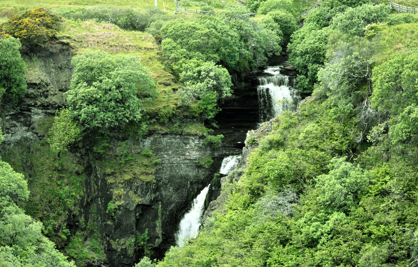 Photo wallpaper grass, water, rocks, waterfall, stream, Scotland, shrub, Isle of Skye
