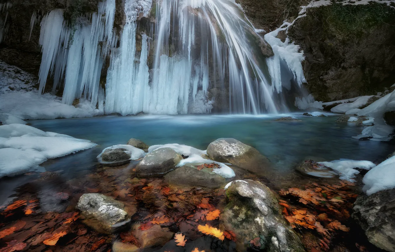 Photo wallpaper leaves, snow, nature, stones, waterfall, ice, Anna Politova