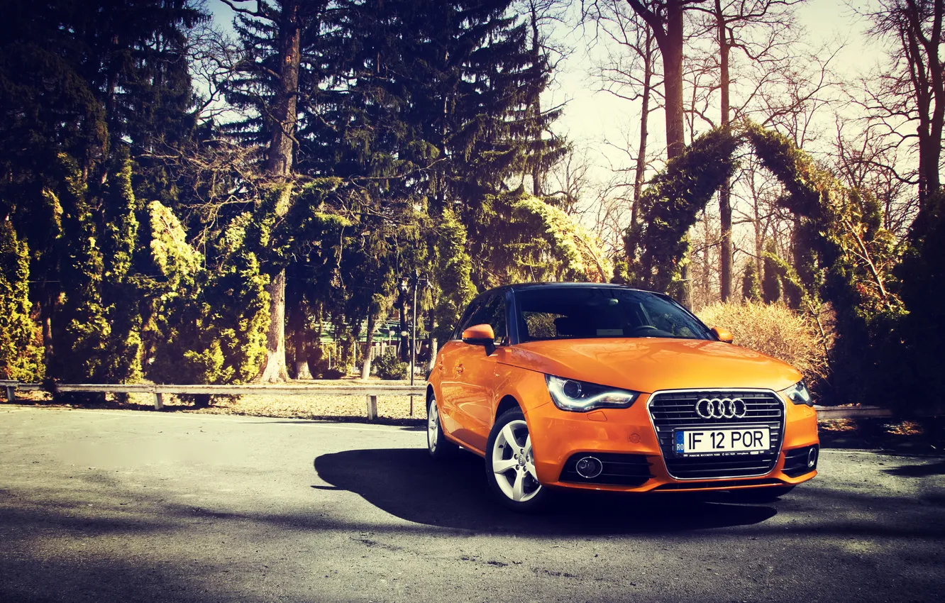 Photo wallpaper Audi, Audi, Orange, Sportback