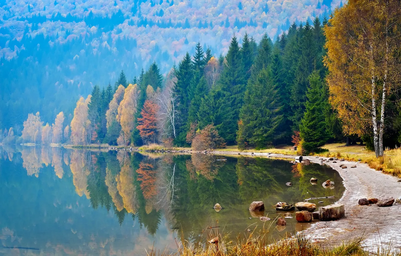 Photo wallpaper autumn, forest, water, trees, reflection, river, stones, shore