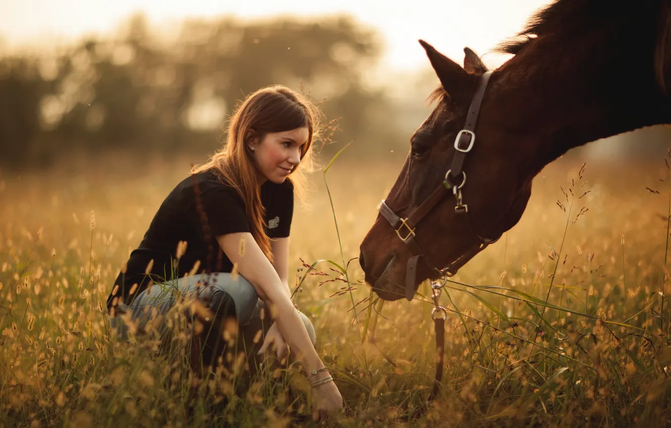 Photo wallpaper field, girl, horse