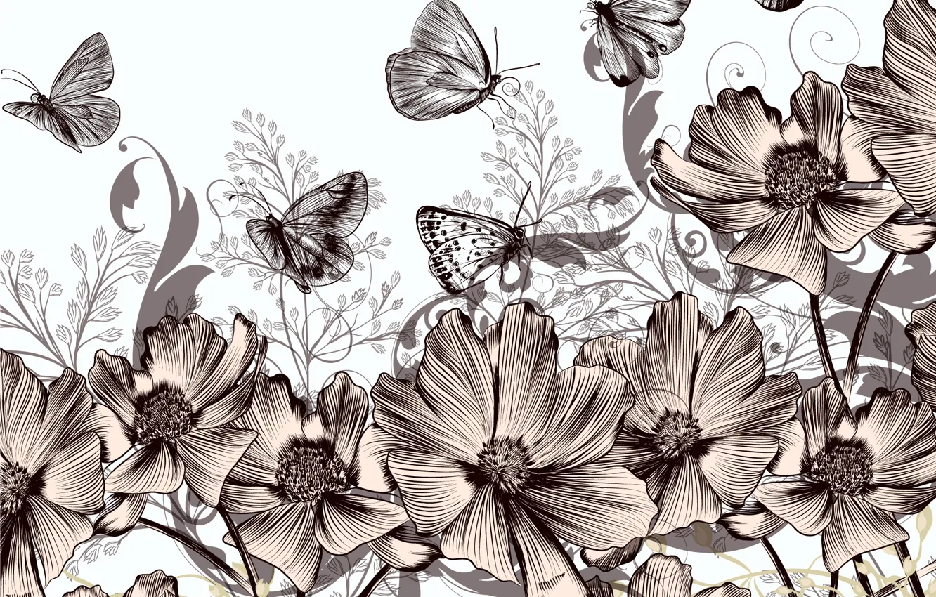 Photo wallpaper butterfly, flowers, retro, background, vintage