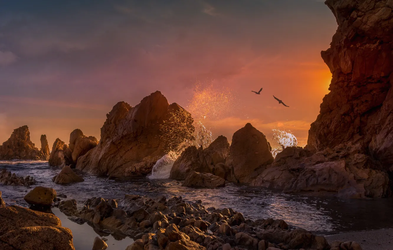 Photo wallpaper landscape, sunset, squirt, birds, nature, stones, the ocean, rocks