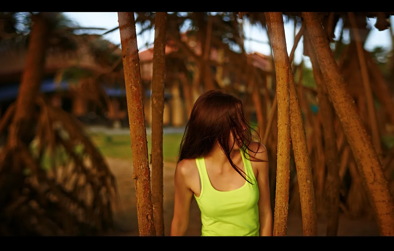 Photo wallpaper girl, sexy, the wind, thickets, Mike, photographer, Eugene Nadein