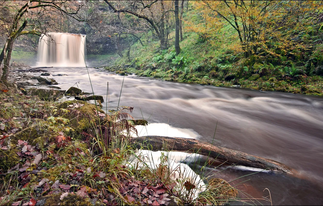 Photo wallpaper nature, river, waterfall