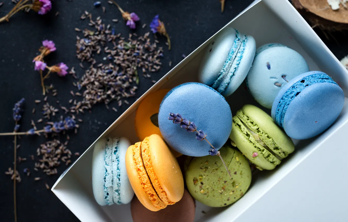 Photo wallpaper colorful, box, flowers, lavender, lavender, french, macaron, macaroon