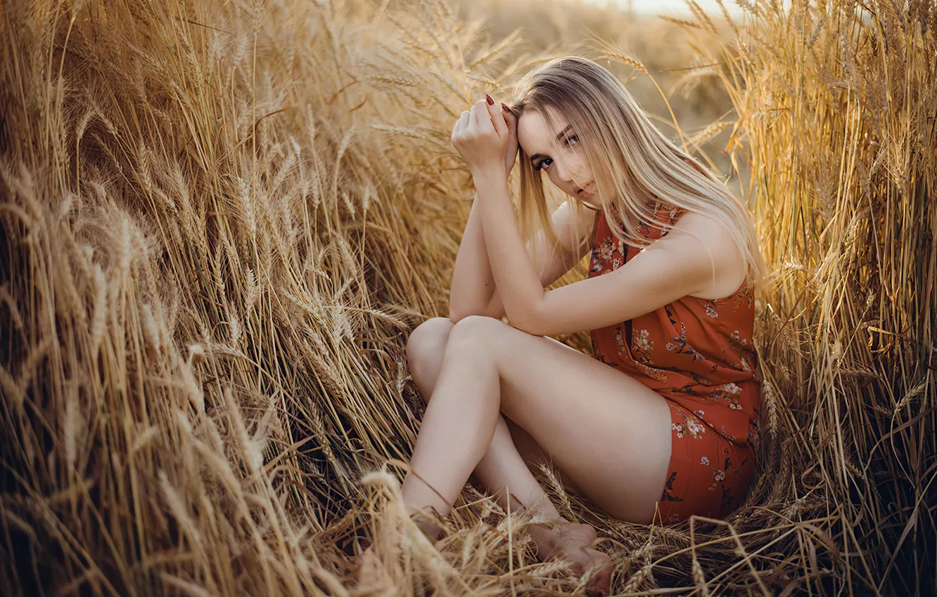 Photo wallpaper field, summer, girl, shorts, blonde