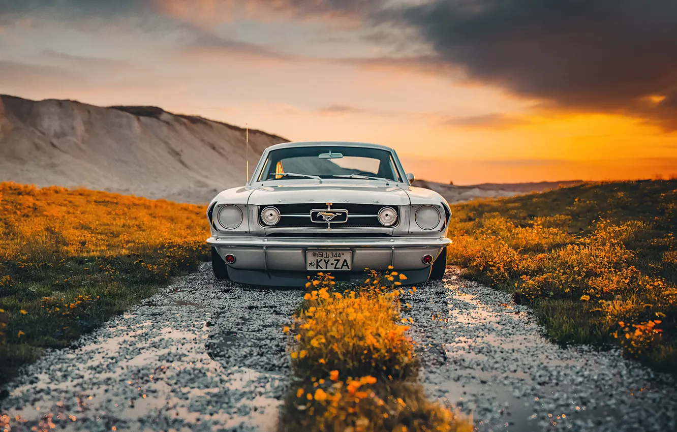 Photo wallpaper Ford, Shelby, Ford Mustang, road, sunset, custom, GT350