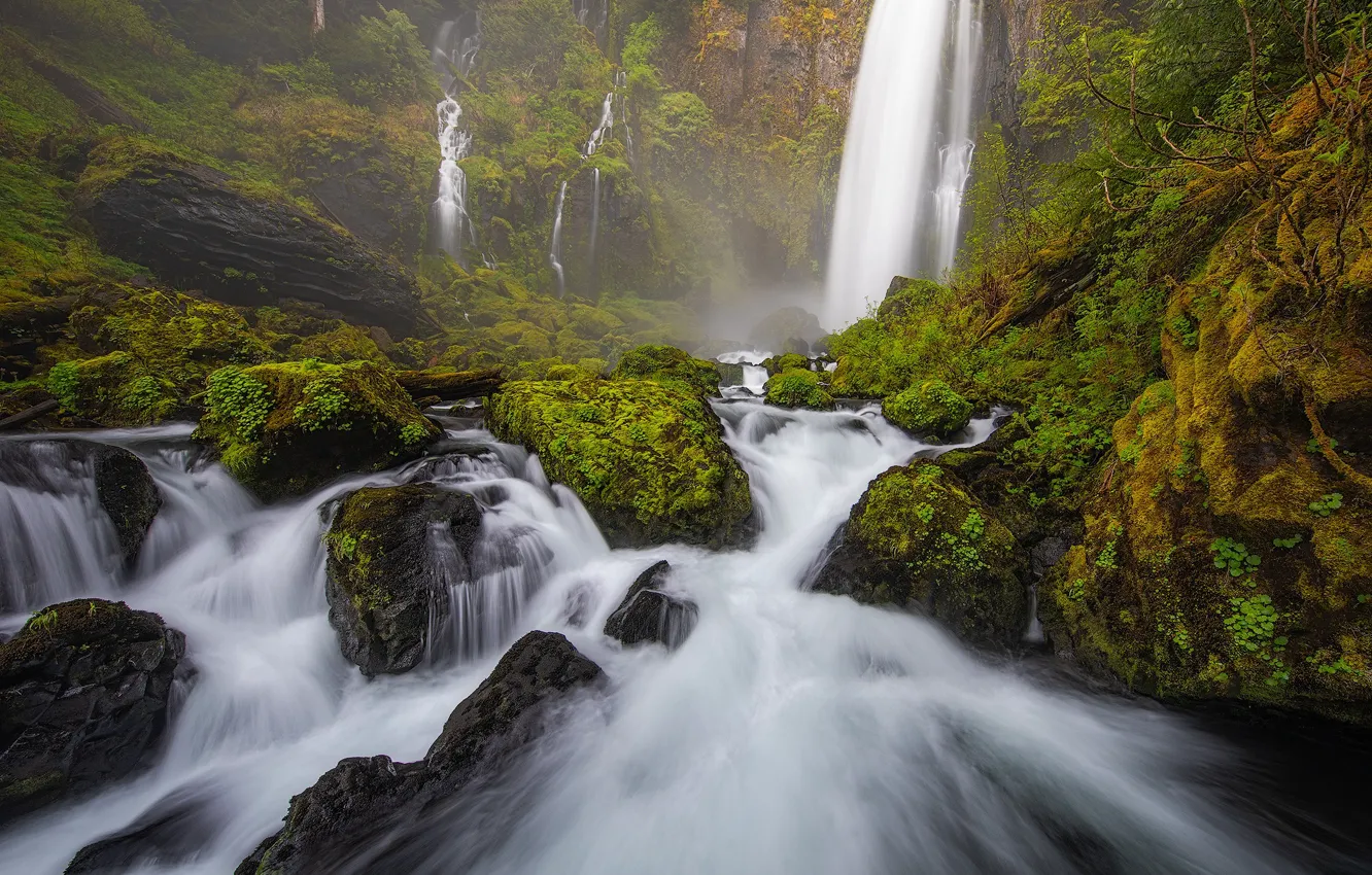 Photo wallpaper forest, stream, stones, moss, river, waterfalls, Gifford Pinchot National Forest, Washington State