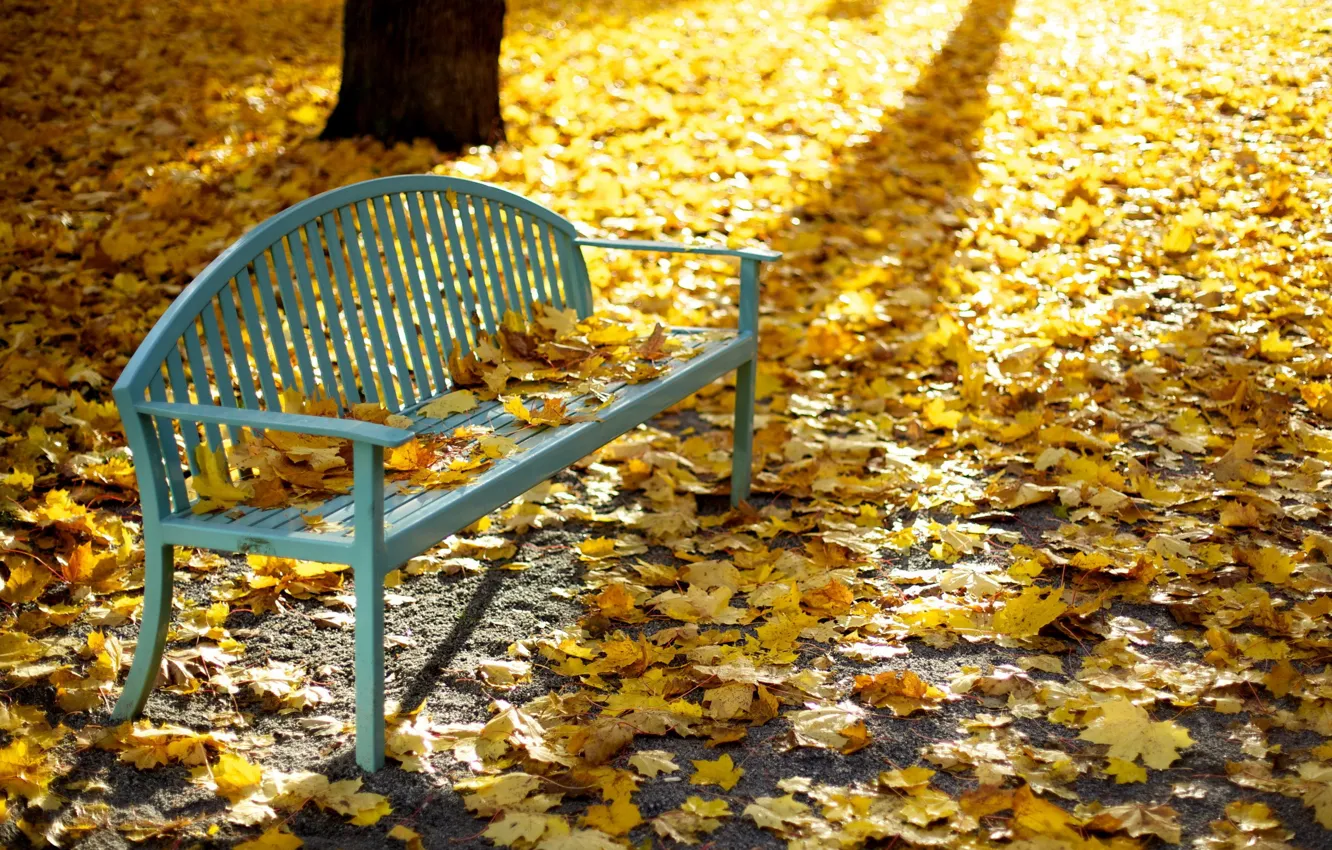 Photo wallpaper autumn, leaves, Park, bench