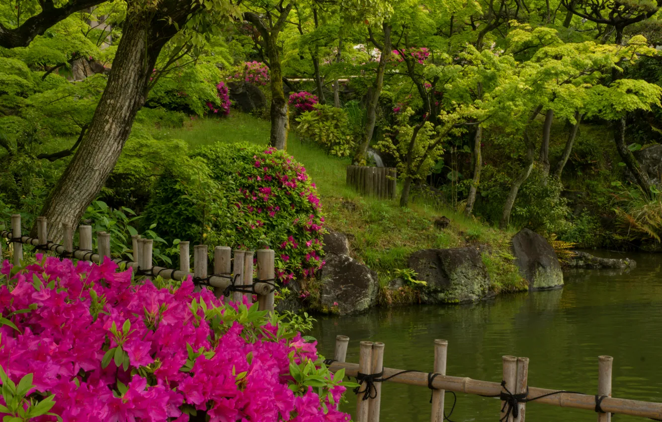 Photo wallpaper water, trees, pond, Park, Japan, garden, rhododendron, Azalea