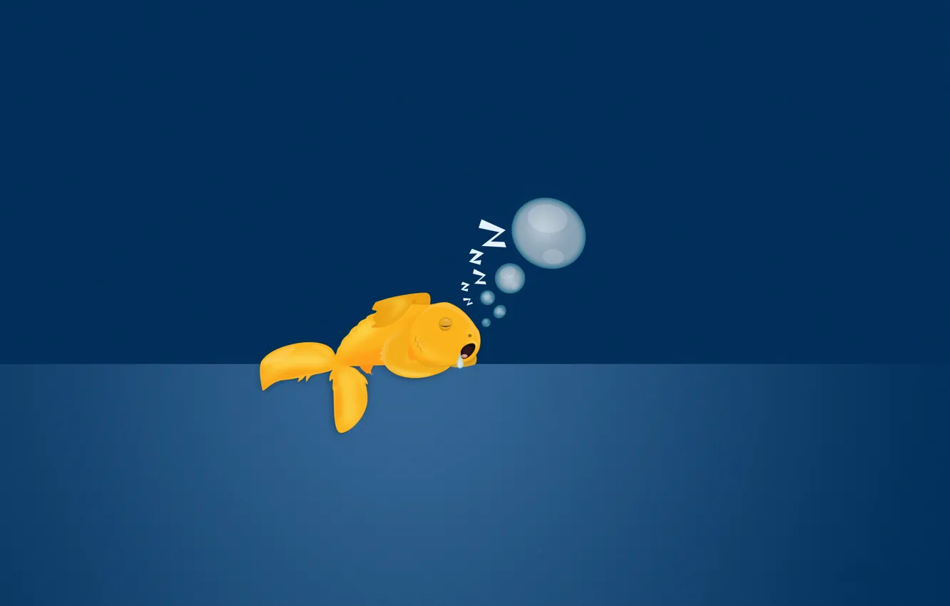 Photo wallpaper bubbles, background, sleeping, goldfish