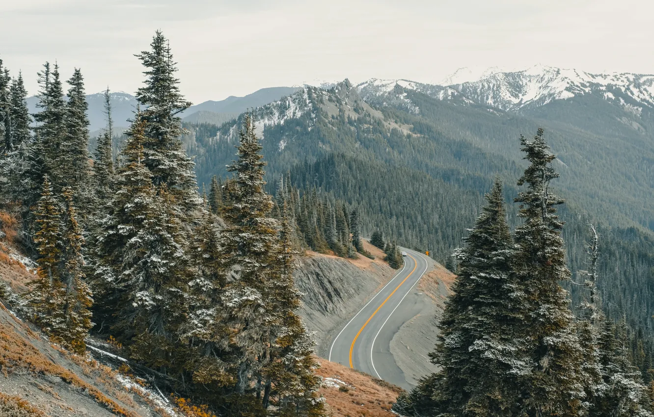 Photo wallpaper winter, road, forest, mountains, Alaska