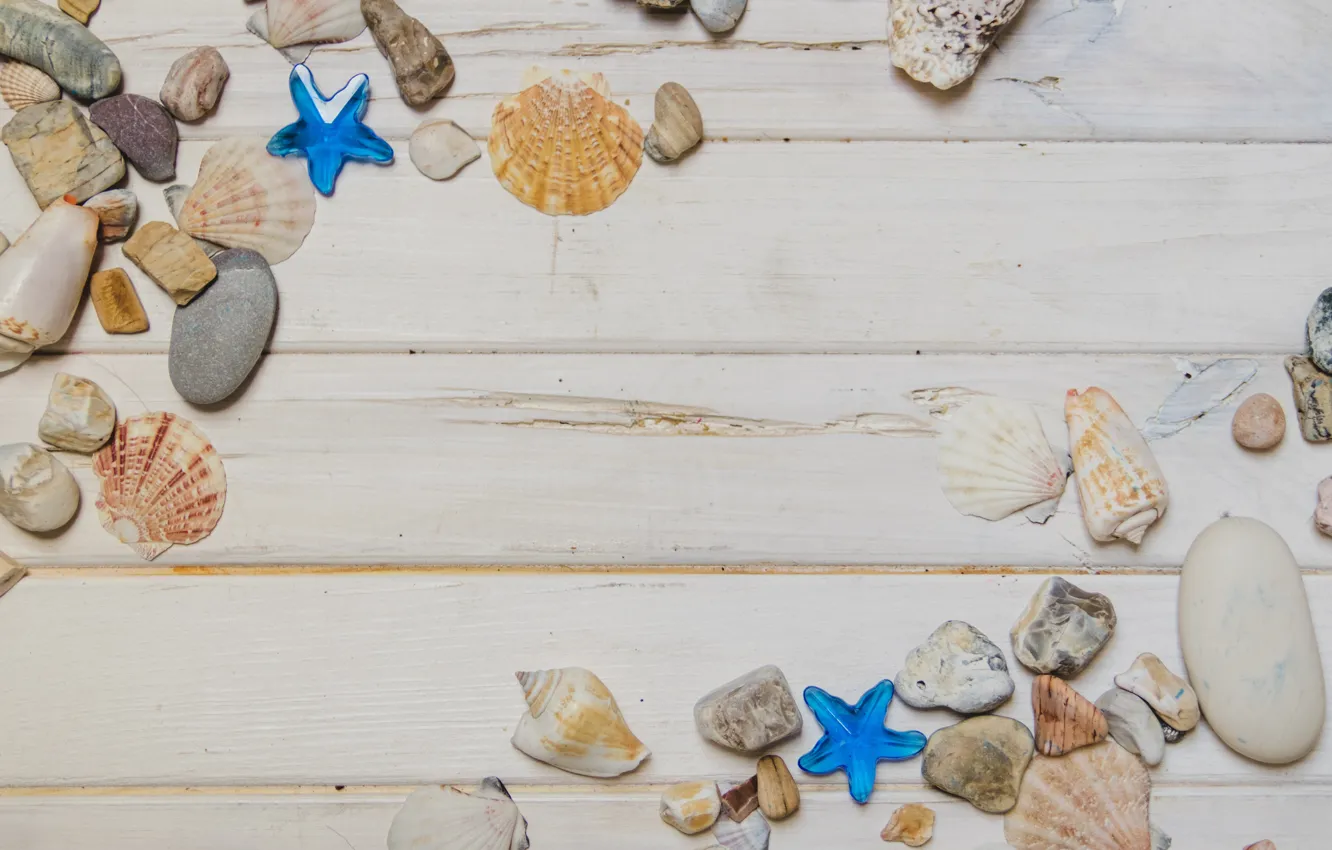 Photo wallpaper stars, stones, shell, summer, beach, wood, marine, starfish