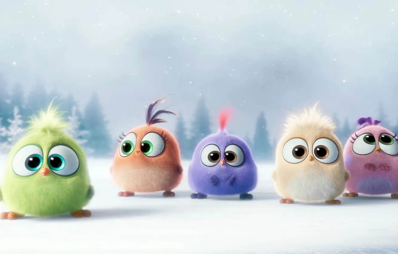 Photo wallpaper winter, snow, mood, cartoon, birds, Hatchlings Angry Birds