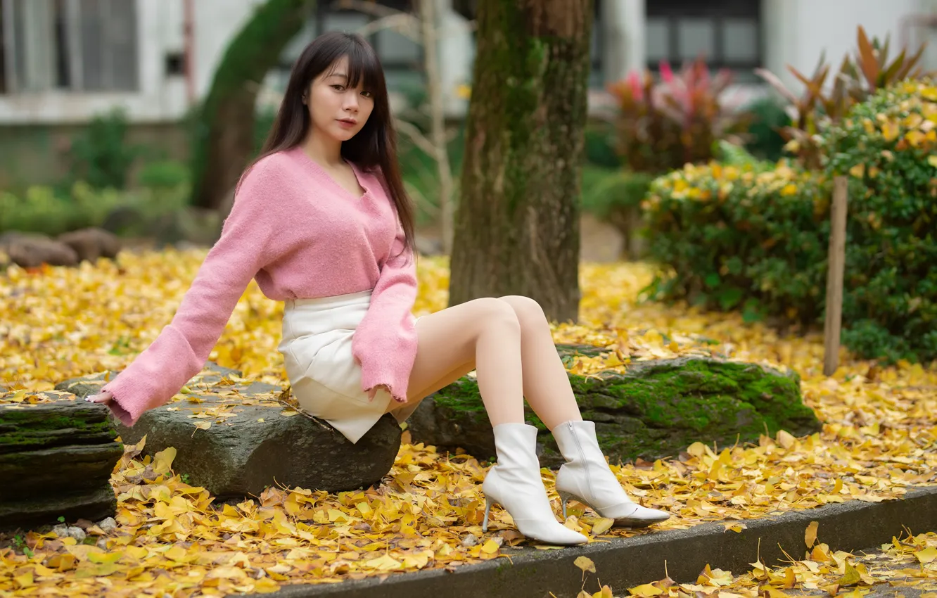 Photo wallpaper autumn, look, leaves, trees, pose, stones, model, moss