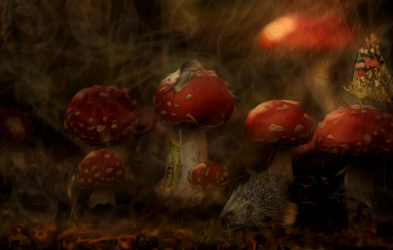 Photo wallpaper forest, rendering, rain, butterfly, mushrooms, dark, snail, mushroom