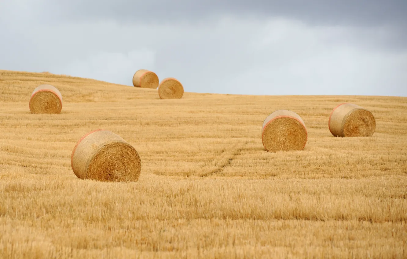 Photo wallpaper field, storm, round bales