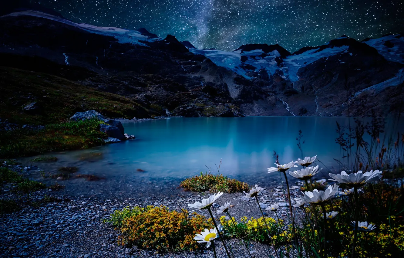 Photo wallpaper the sky, stars, flowers, mountains, night, lake, stones, shore