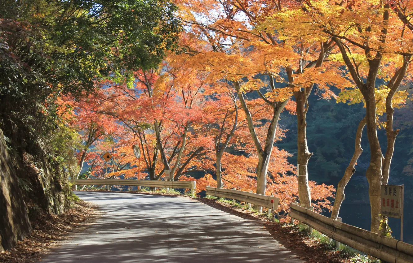 Photo wallpaper Japan, panorama, Moroyama, Oyagi