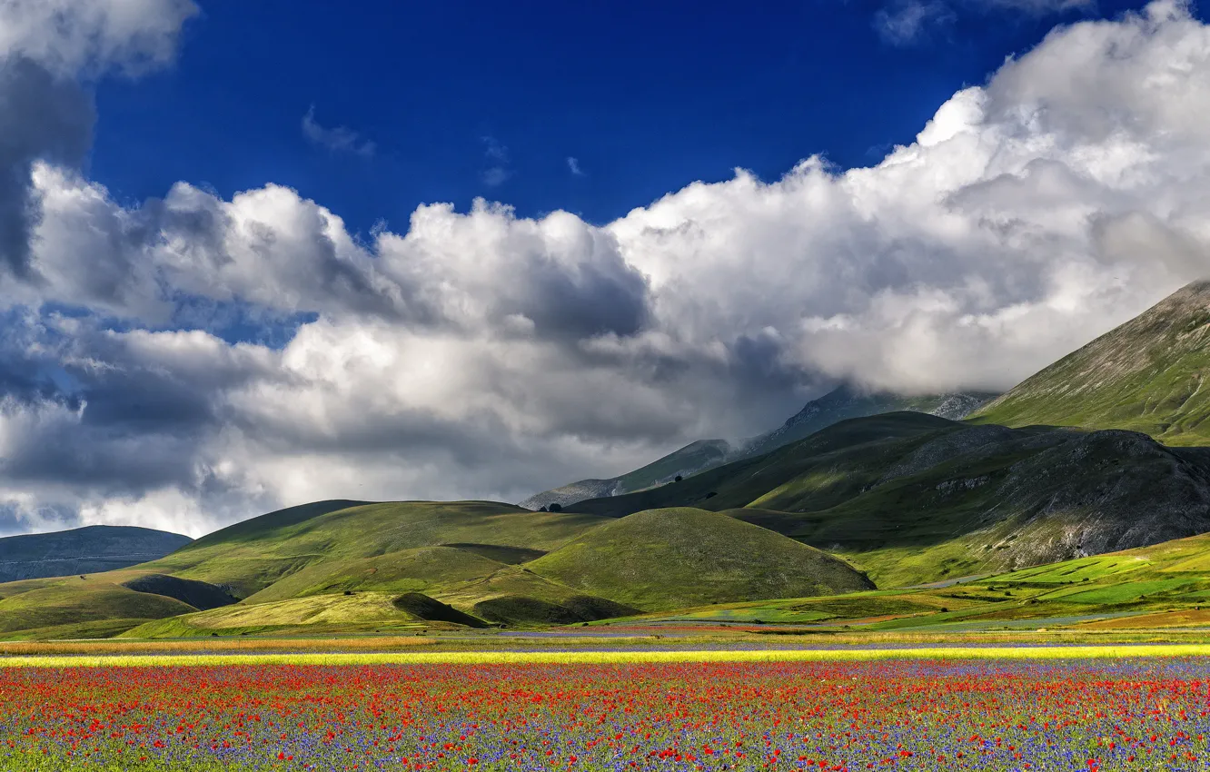 Photo wallpaper the sky, clouds, flowers, mountains, Maki, meadow, Italy