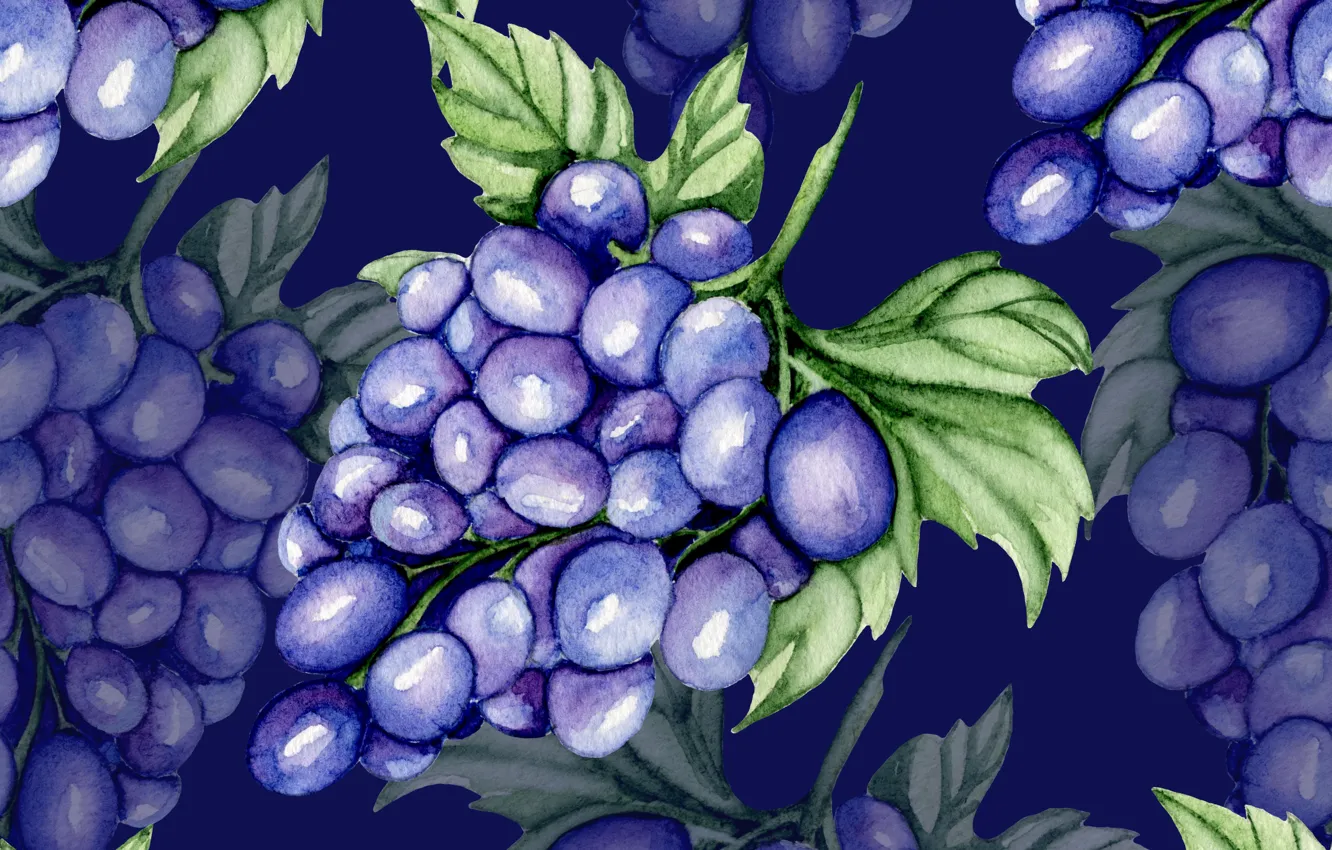Photo wallpaper background, texture, grapes, brush