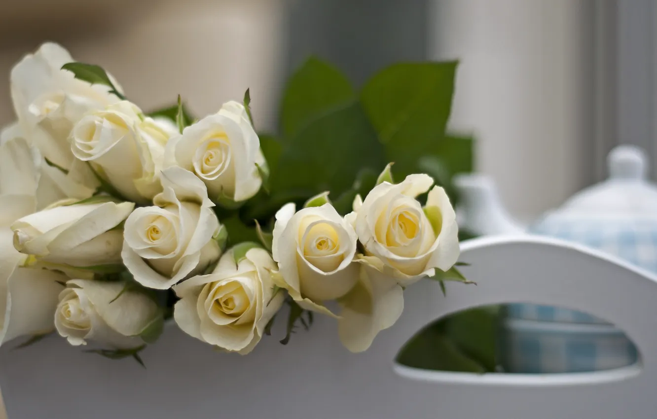 Photo wallpaper flowers, roses, bouquet, white, white, flowers, bouquet, roses