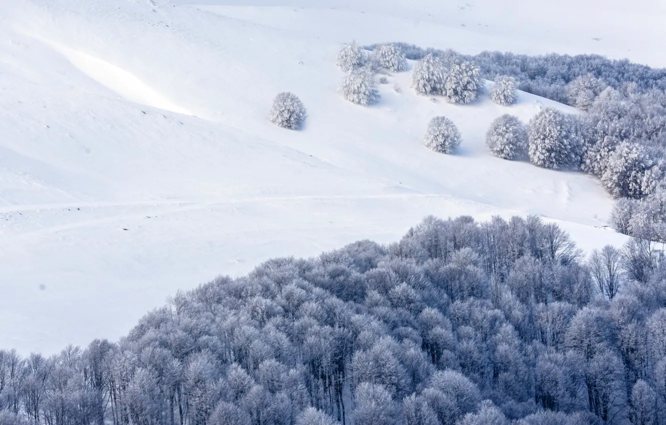 Photo wallpaper the snow, snow, slope, mountains, the tops of the trees, winter, trees, hills