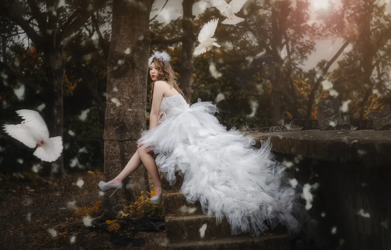 Photo wallpaper style, mood, bird, model, dress, pigeons, Asian, the bride