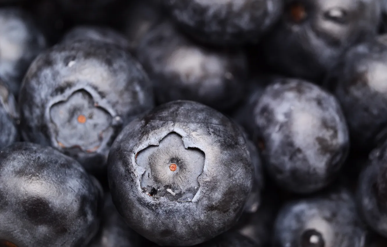 Photo wallpaper macro, berries, blueberries