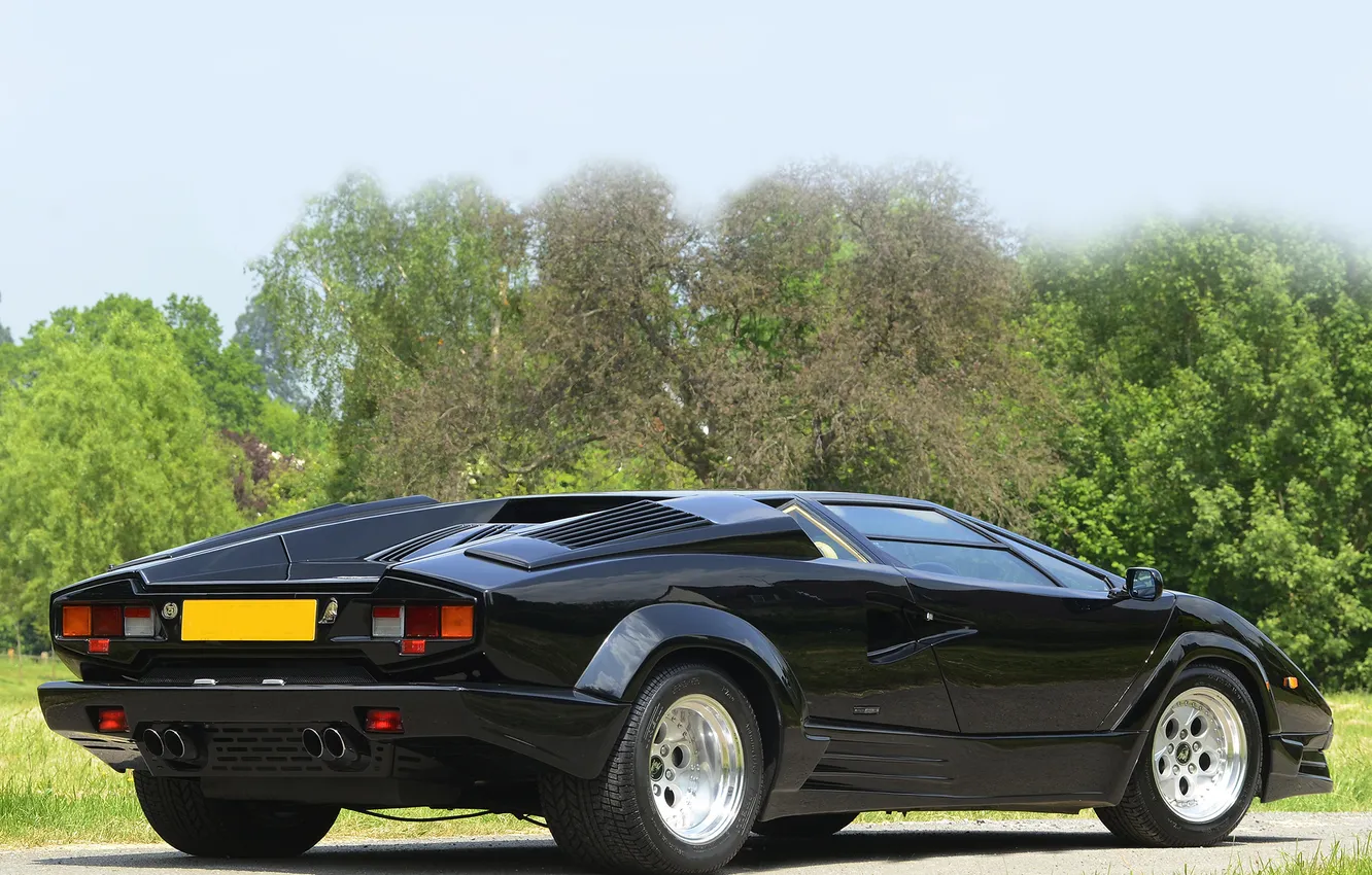 Photo wallpaper trees, view, Lamborghini, back, Countach, Lamborghini, Countach
