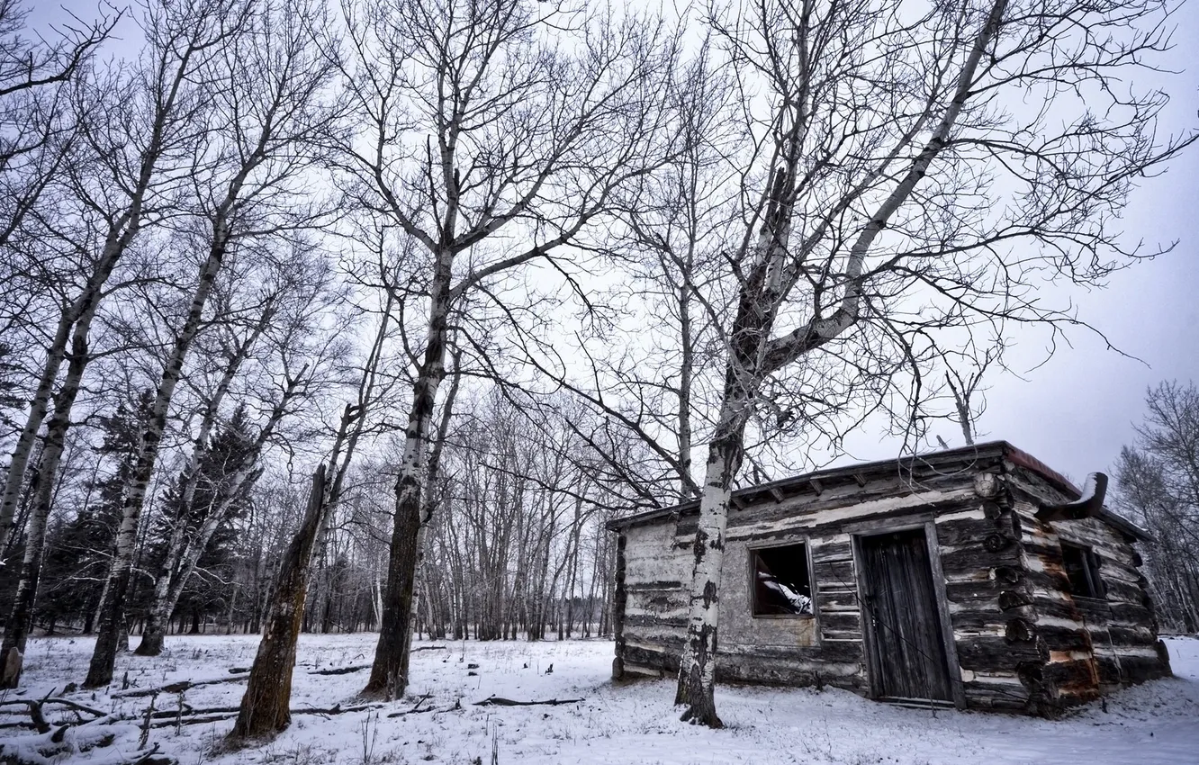 Photo wallpaper winter, trees, house