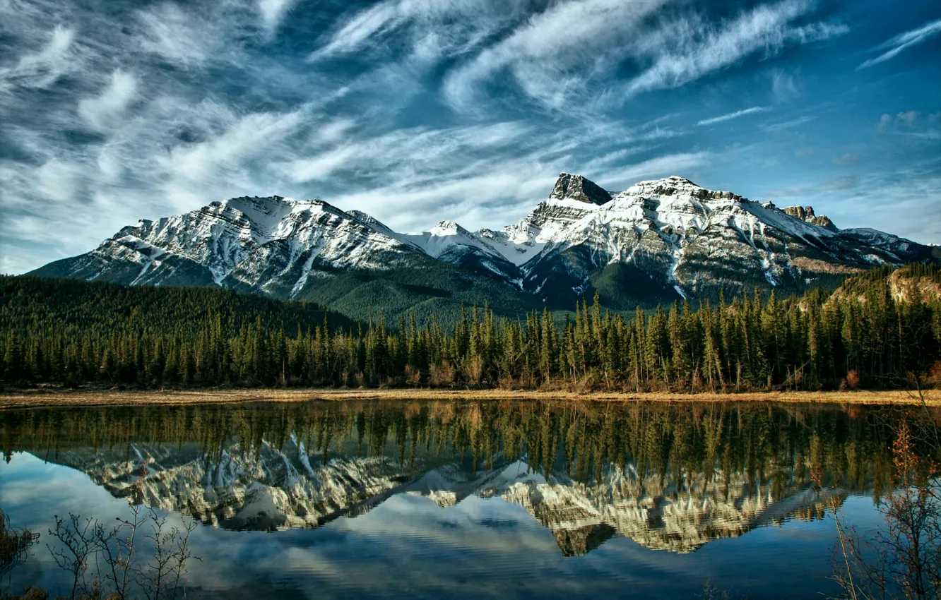 Photo wallpaper forest, the sky, clouds, trees, mountains, nature, lake, reflection