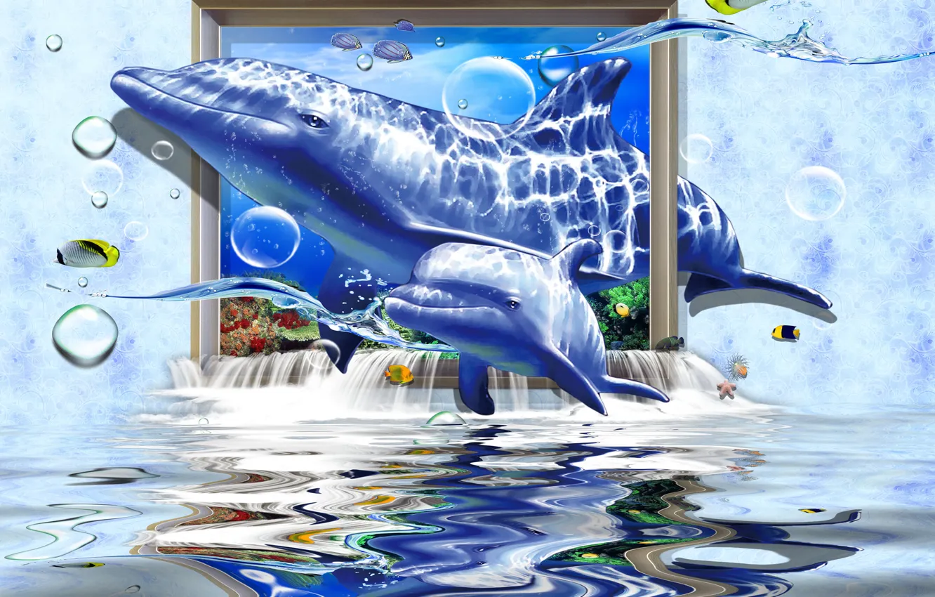 Photo wallpaper Dolphin, Underwater world