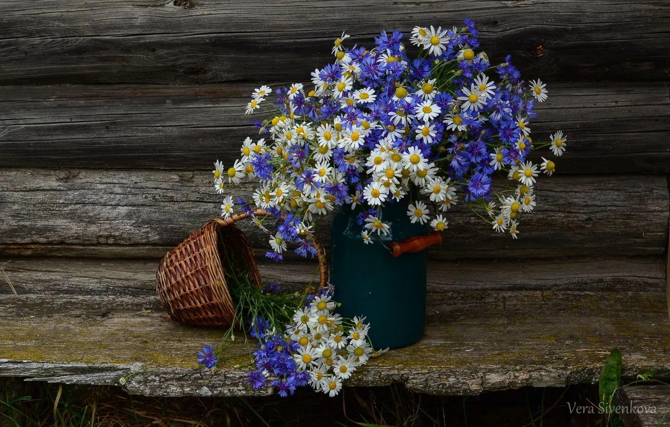 Photo wallpaper summer, flowers, chamomile, still life, cornflowers