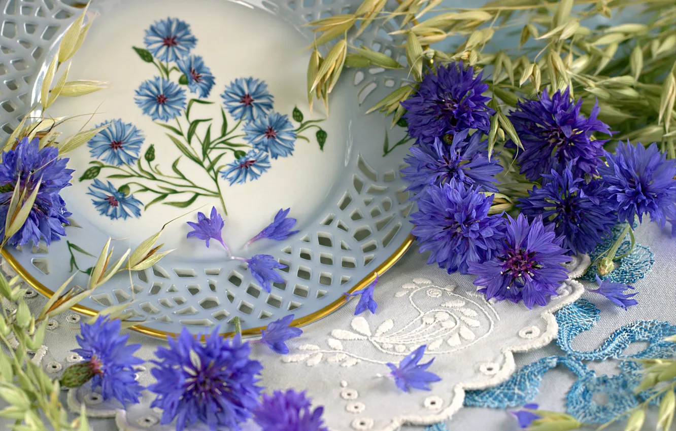 Photo wallpaper plate, still life, cornflowers