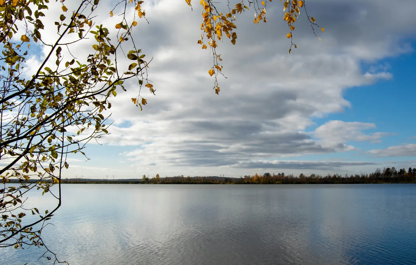 Photo wallpaper the sky, water, trees, nature, lake
