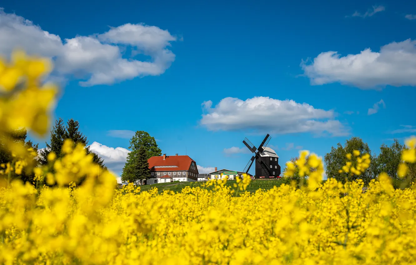 Photo wallpaper field, clouds, flowers, blue, home, spring, dal, rape