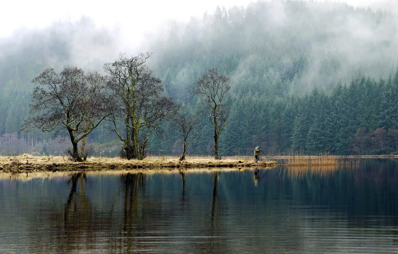 Photo wallpaper trees, lake, photographer