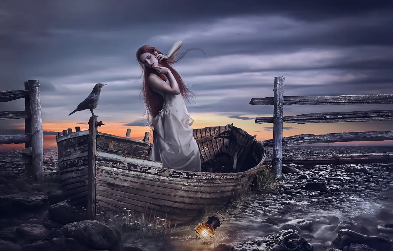 Photo wallpaper girl, bird, boat, lantern, Raven, photo art