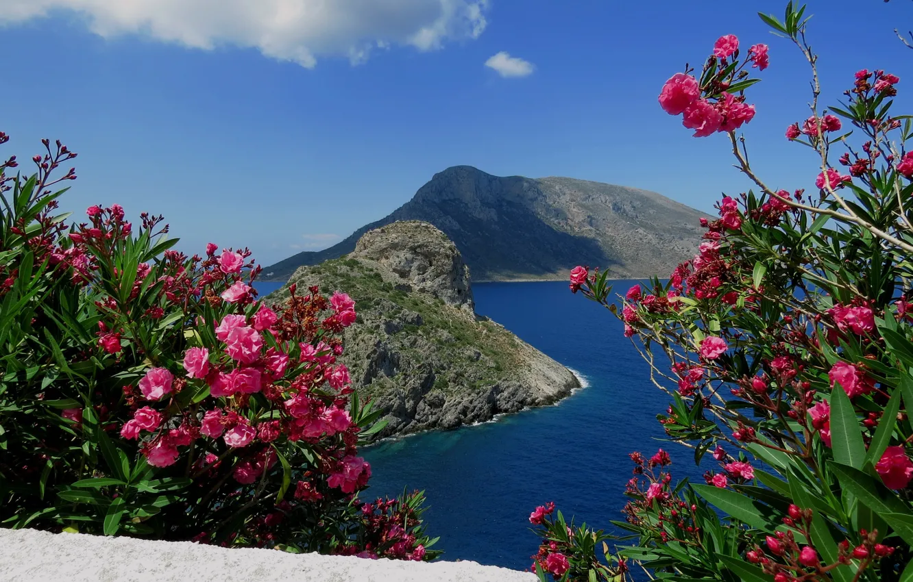 Photo wallpaper sea, landscape, mountains, nature, island, Greece, the bushes, oleander