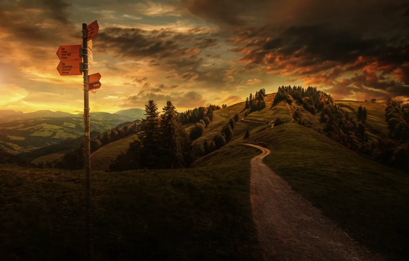 Photo wallpaper the sky, trees, landscape, sunset, mountains, hills, plate, Switzerland