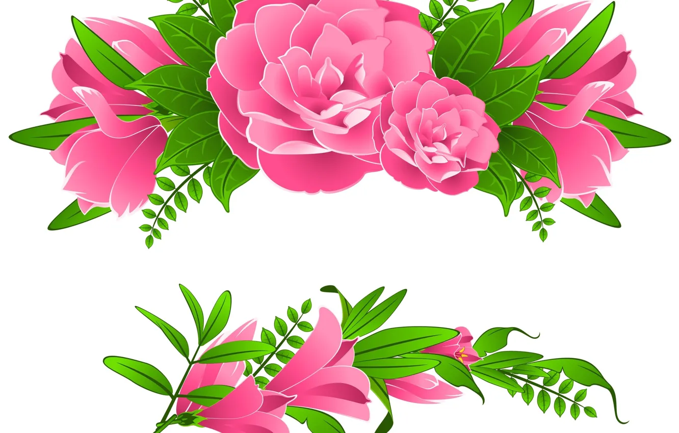 Photo wallpaper white, flowers, background, pink