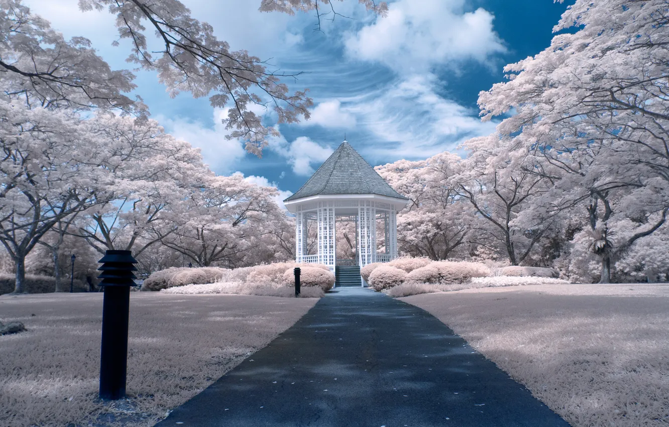 Photo wallpaper trees, Park, track, Singapore, gazebo, Singapore