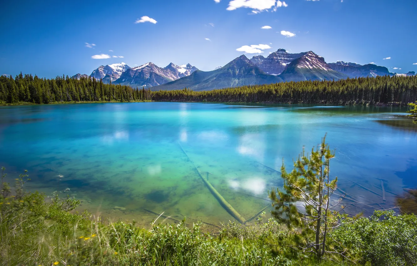 Photo wallpaper forest, transparency, mountains, lake