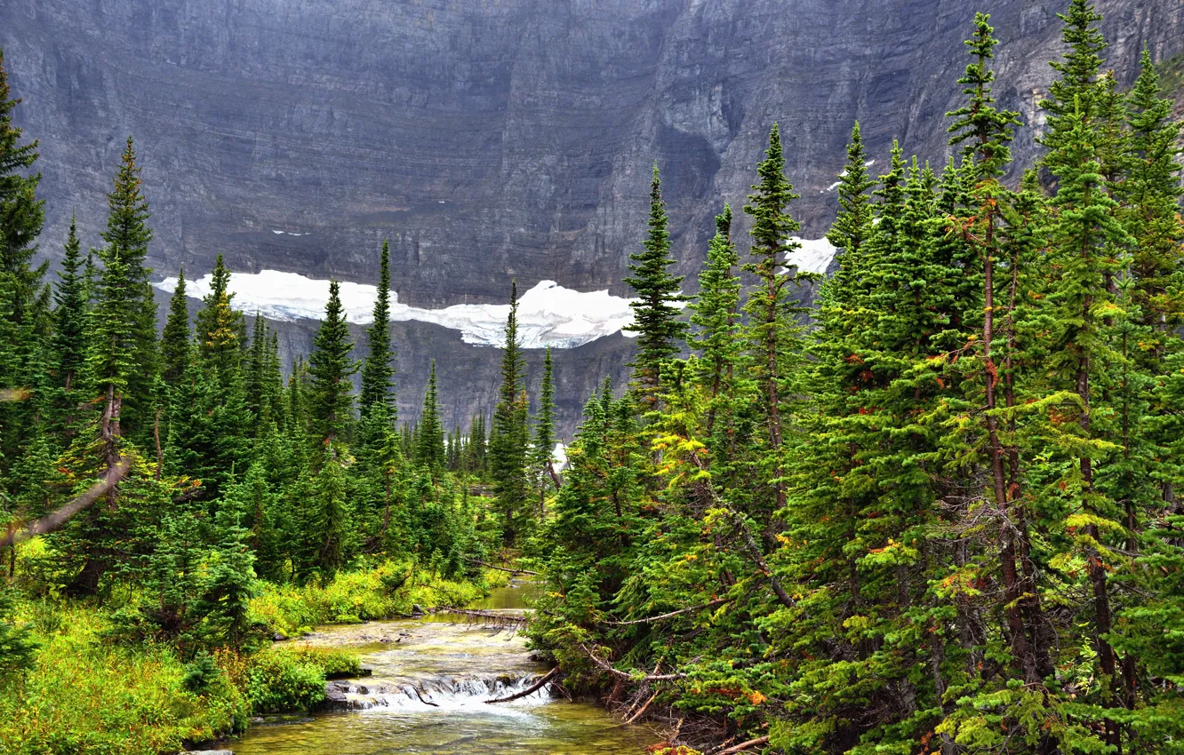 Photo wallpaper forest, snow, mountains, river, spruce